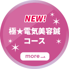 NEW！極★電気美容鍼コース