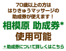 相模原助成券使用可能