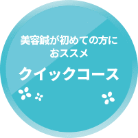 クイックコース